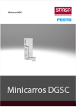 Minicarros DGSC